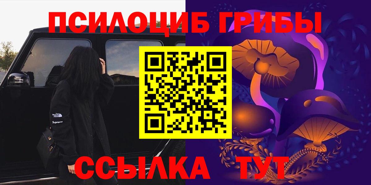 где найти наркотики  Галлюциногенные грибы мицелий  Вход с VPN  Галлюциногенные грибы мухоморы  Кизляр 