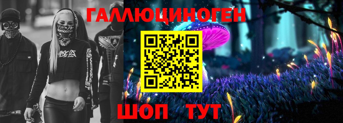 Псилоцибиновые грибы Psilocybine cubensis Кизляр